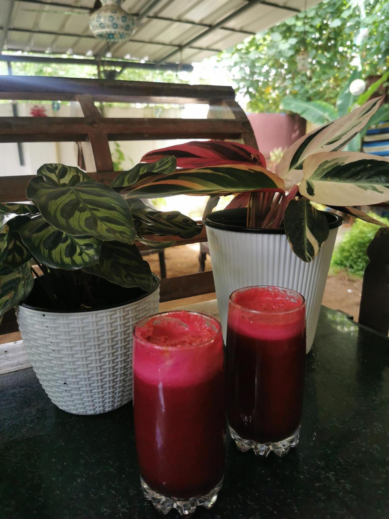 Jeehaa Homestay Alappuzha Bagian luar foto