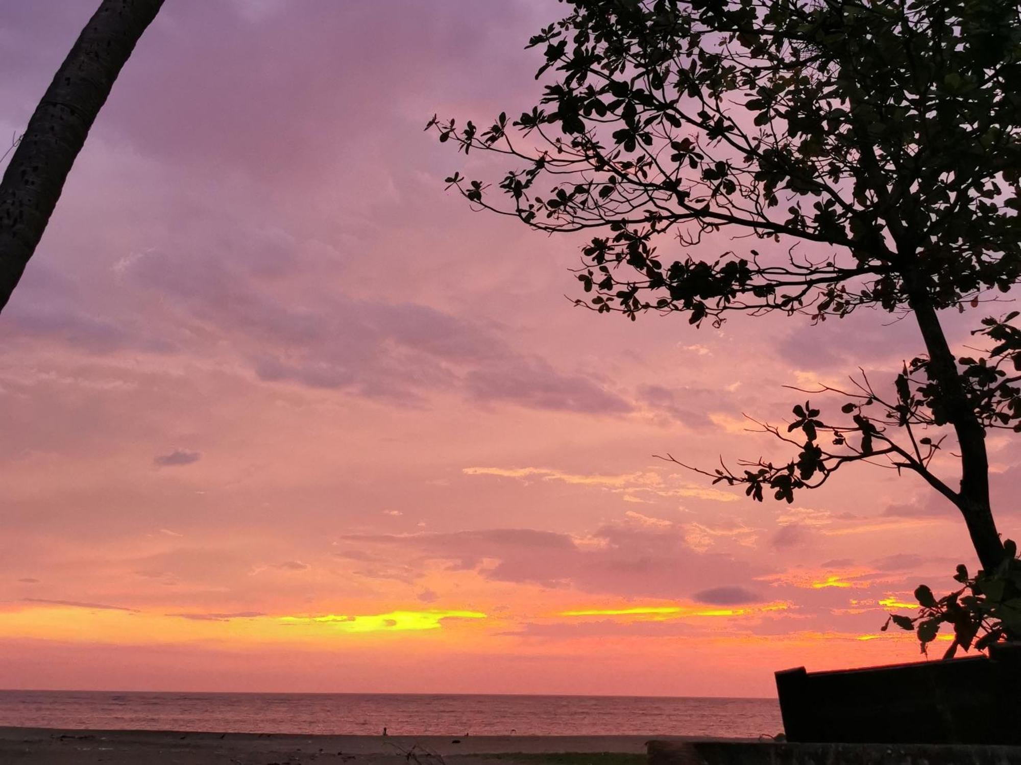 Jeehaa Homestay Alappuzha Bagian luar foto