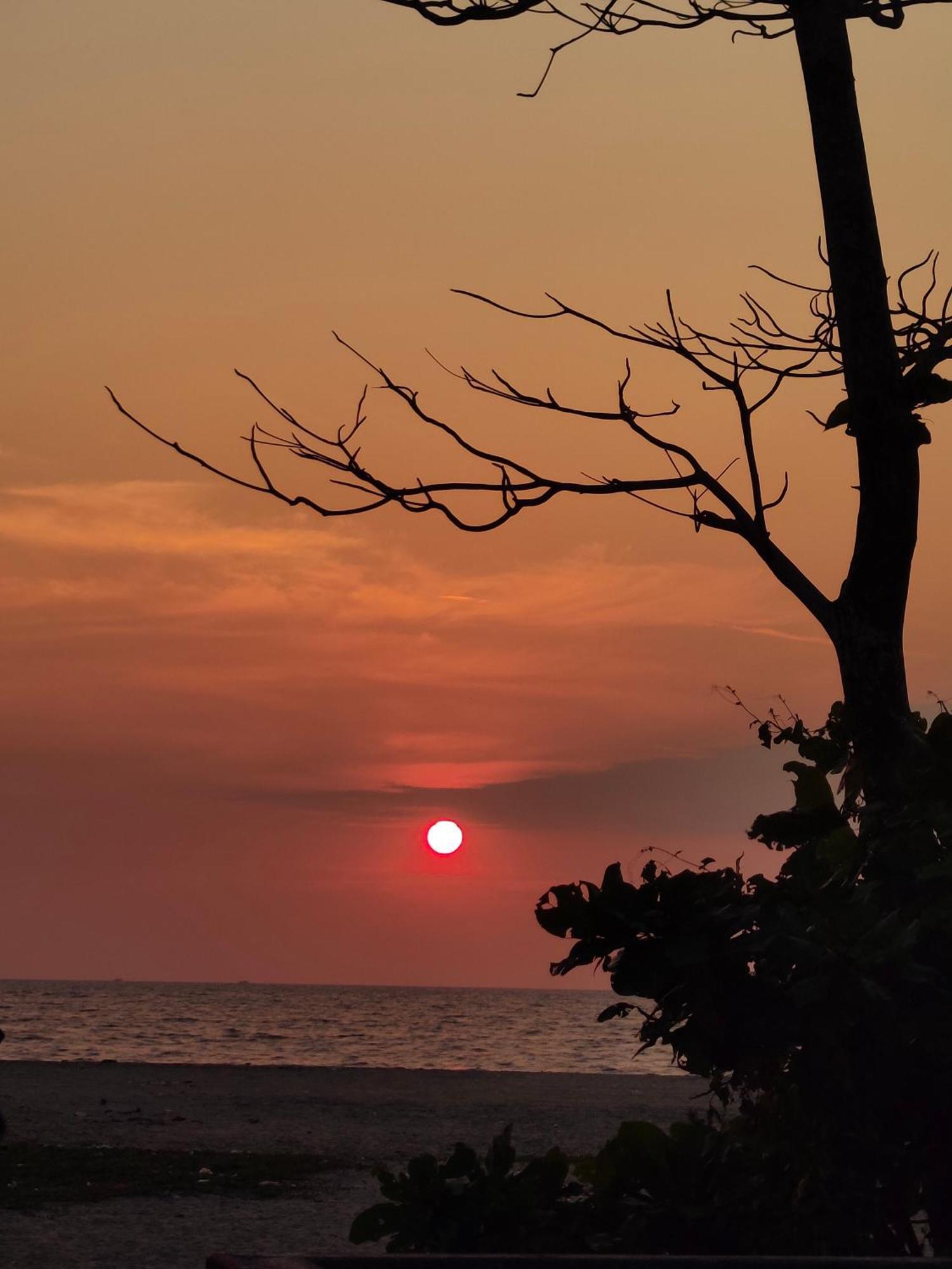 Jeehaa Homestay Alappuzha Bagian luar foto