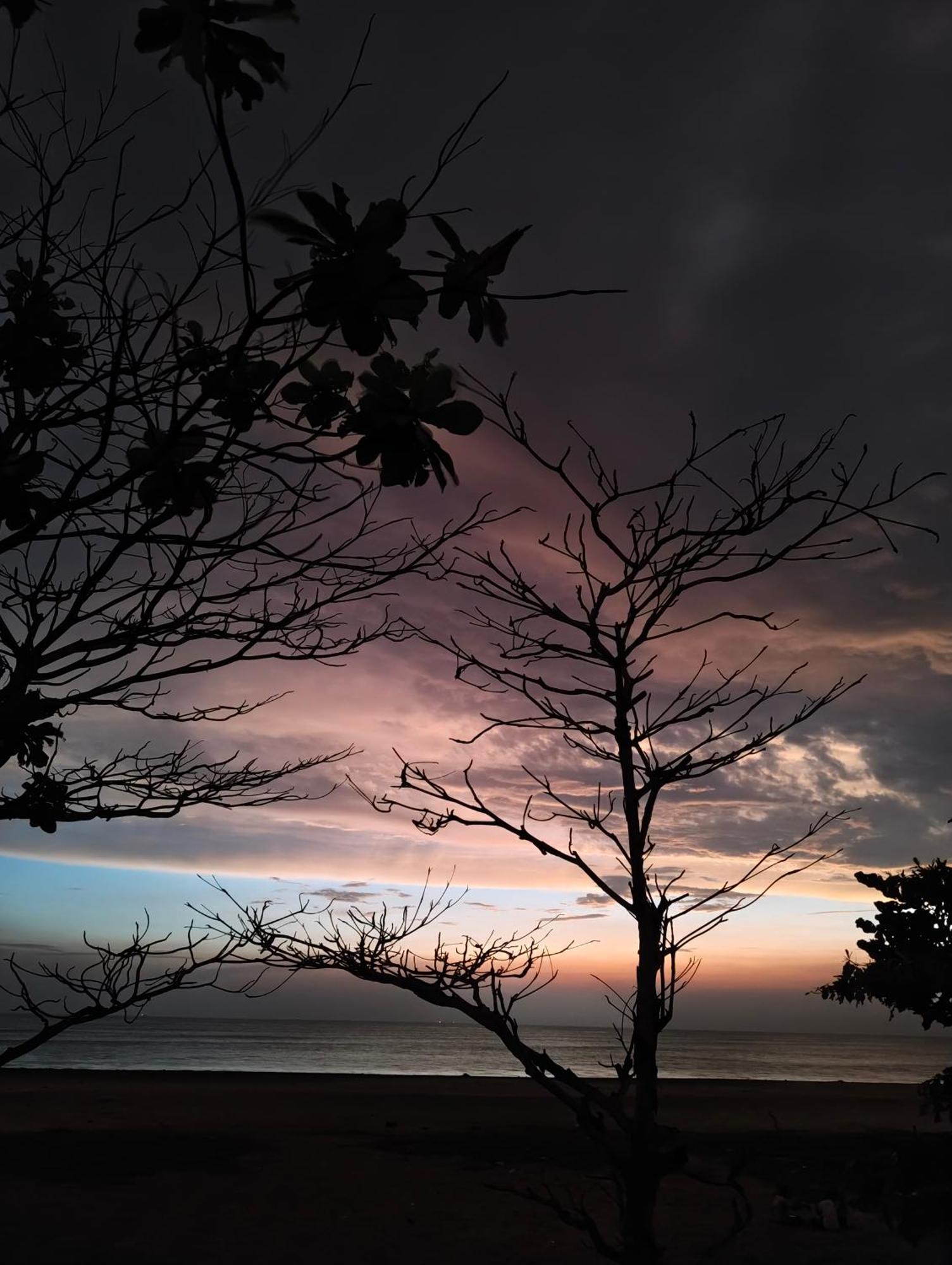 Jeehaa Homestay Alappuzha Bagian luar foto